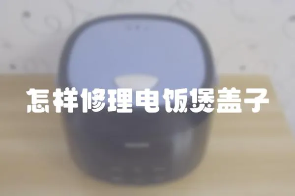怎樣修理電飯煲蓋子