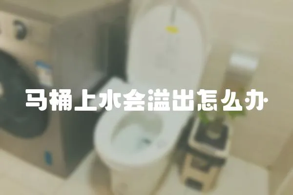馬桶上水會溢出怎么辦