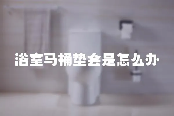 浴室馬桶墊會是怎么辦