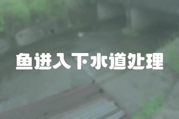 魚進入下水道處理