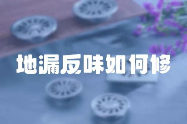 地漏反味如何修