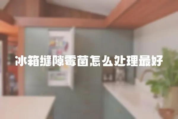 冰箱縫隙霉菌怎么處理最好