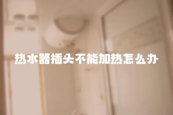 熱水器插頭不能加熱怎么辦