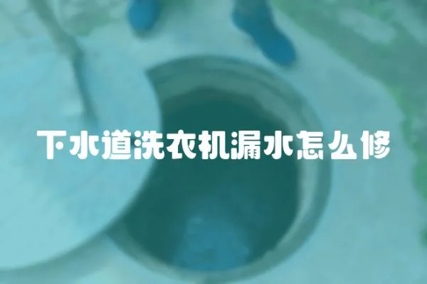 下水道洗衣機漏水怎么修