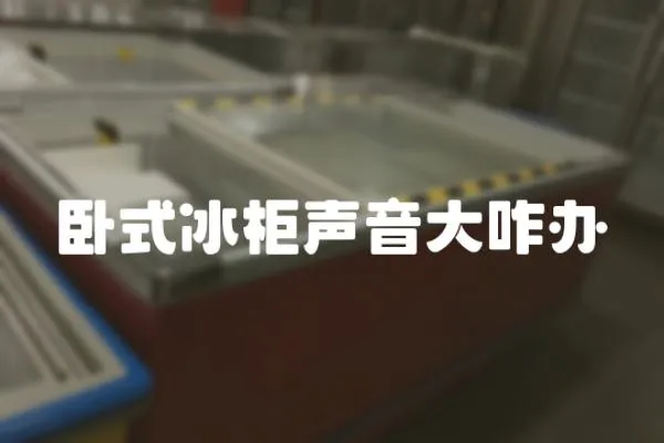 臥式冰柜聲音大咋辦