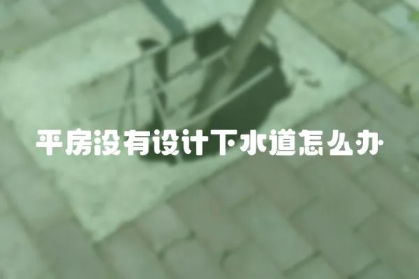 平房沒(méi)有設(shè)計(jì)下水道怎么辦