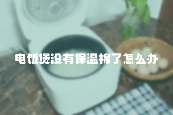 電飯煲沒有保溫棉了怎么辦