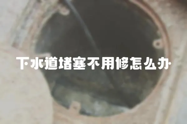 下水道堵塞不用修怎么辦