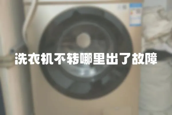 洗衣機(jī)不轉(zhuǎn)哪里出了故障