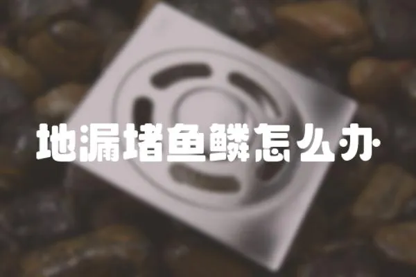 地漏堵魚鱗怎么辦