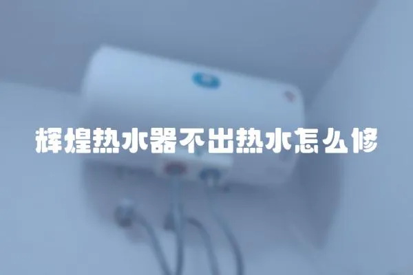 輝煌熱水器不出熱水怎么修
