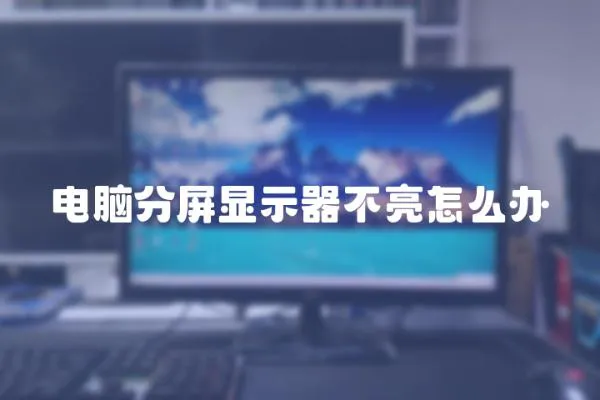 電腦分屏顯示器不亮怎么辦