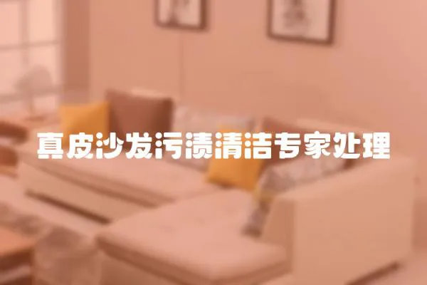 真皮沙發(fā)污漬清潔專家處理