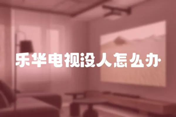樂華電視沒人怎么辦