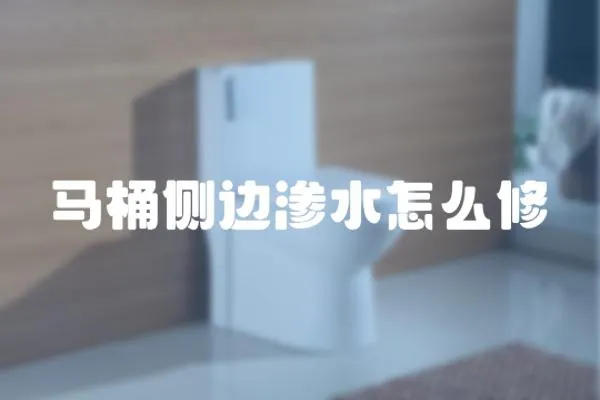 馬桶側邊滲水怎么修