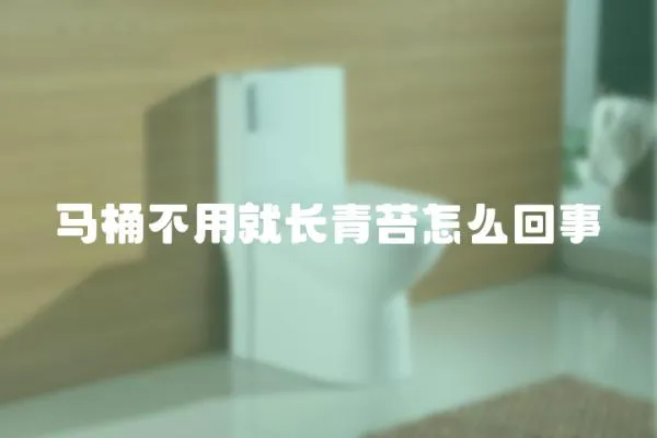 馬桶不用就長青苔怎么回事
