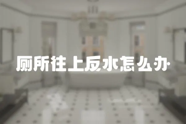 廁所往上反水怎么辦