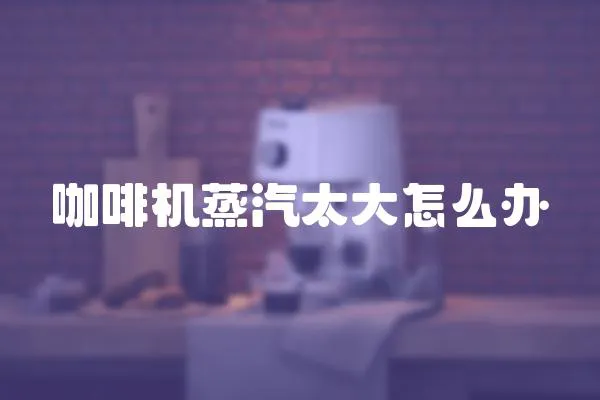 咖啡機(jī)蒸汽太大怎么辦