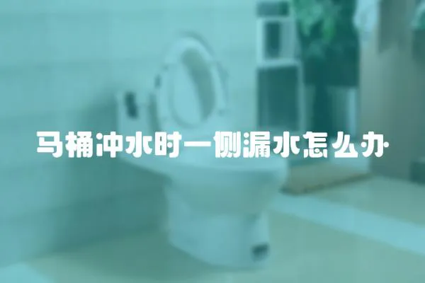 馬桶沖水時一側漏水怎么辦