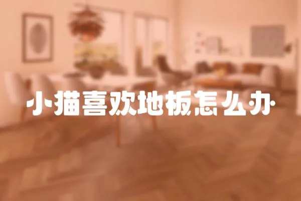 小貓喜歡地板怎么辦