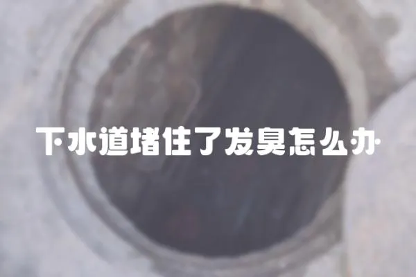 下水道堵住了發臭怎么辦
