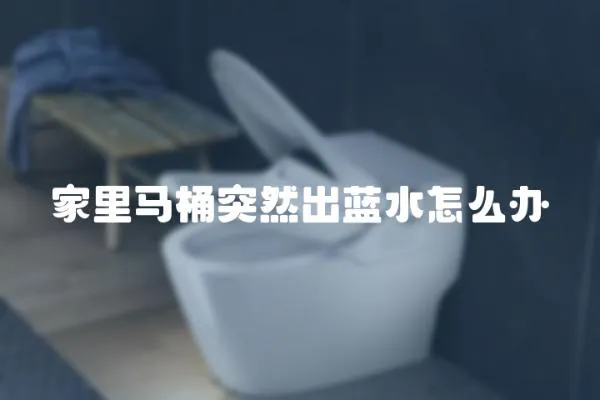 家里馬桶突然出藍水怎么辦