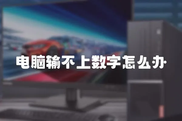 電腦輸不上數(shù)字怎么辦
