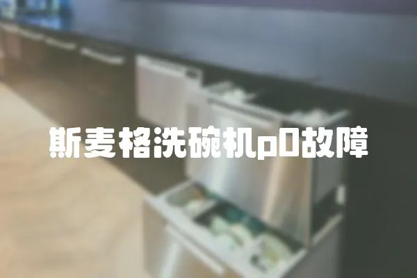 斯麥格洗碗機(jī)p0故障