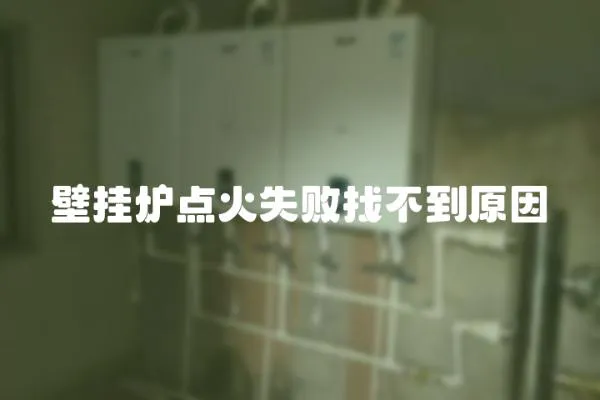 壁掛爐點火失敗找不到原因