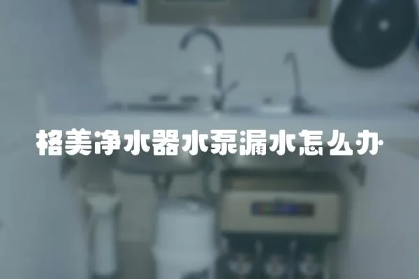 格美凈水器水泵漏水怎么辦