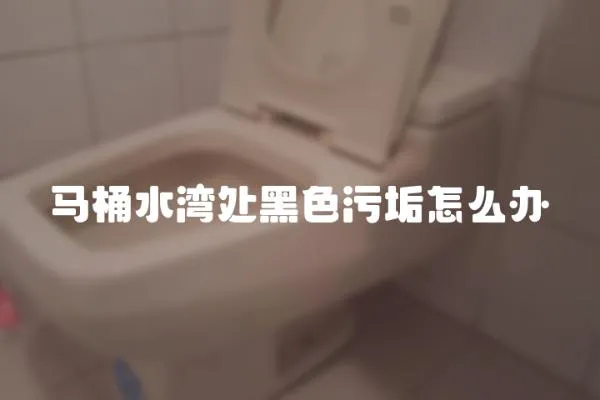 馬桶水灣處黑色污垢怎么辦
