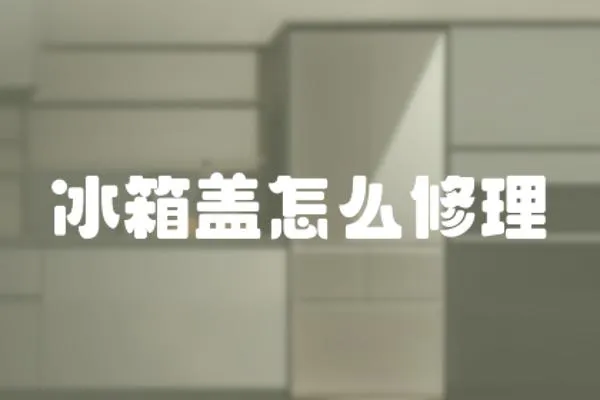 冰箱蓋怎么修理