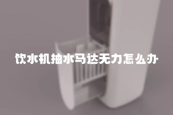 飲水機(jī)抽水馬達(dá)無(wú)力怎么辦