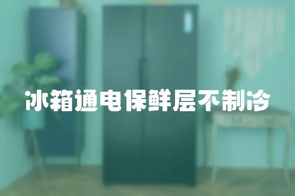 冰箱通電保鮮層不制冷