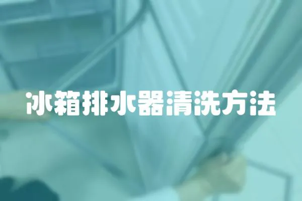 冰箱排水器清洗方法