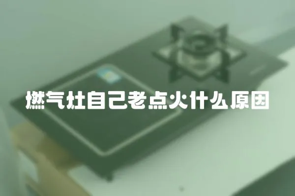 燃氣灶自己老點火什么原因