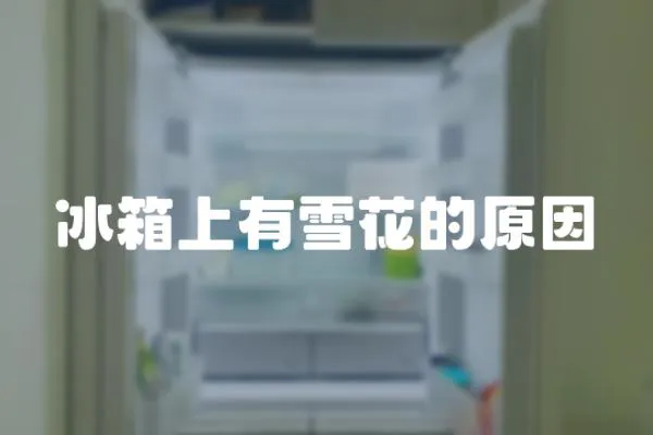 冰箱上有雪花的原因