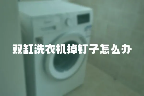 雙缸洗衣機掉釘子怎么辦