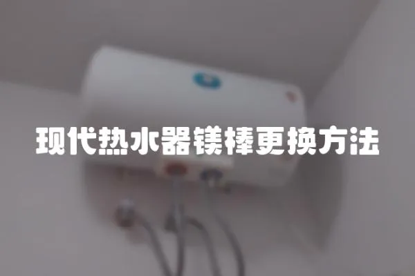現(xiàn)代熱水器鎂棒更換方法