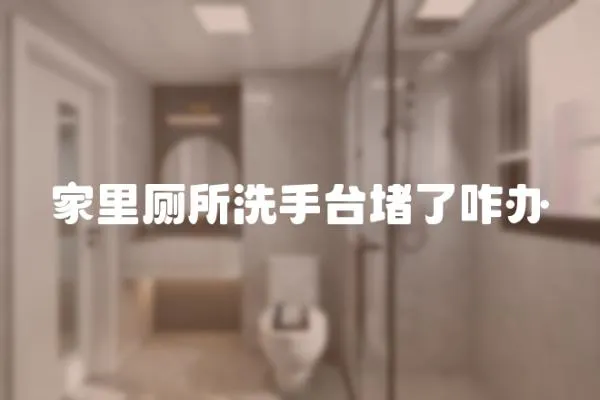 家里廁所洗手臺堵了咋辦