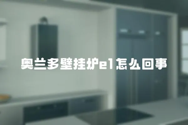奧蘭多壁掛爐e1怎么回事