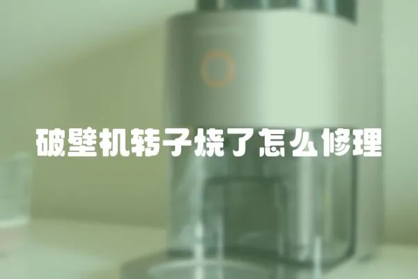 破壁機(jī)轉(zhuǎn)子燒了怎么修理