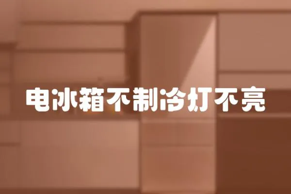 電冰箱不制冷燈不亮