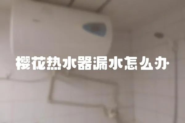 櫻花熱水器漏水怎么辦