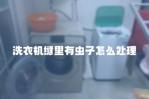 洗衣機縫里有蟲子怎么處理