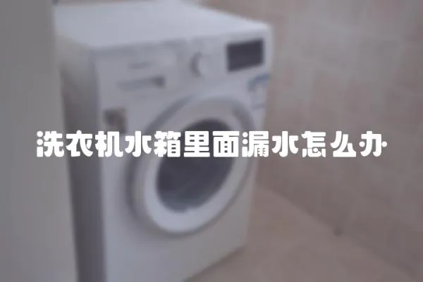 洗衣機水箱里面漏水怎么辦