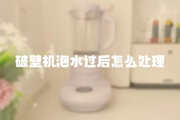 破壁機泡水過后怎么處理