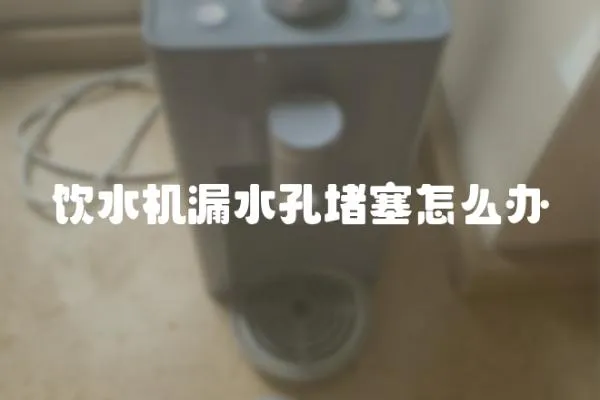 飲水機漏水孔堵塞怎么辦