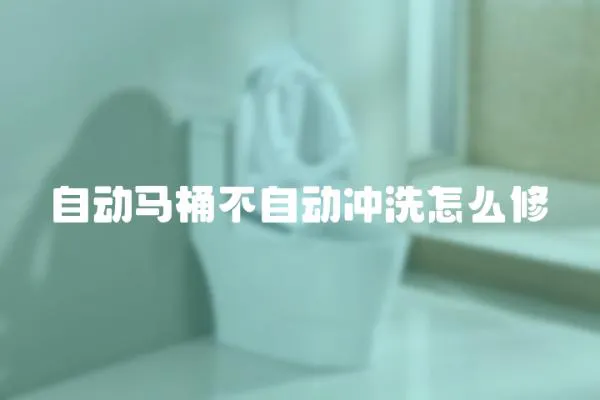 自動(dòng)馬桶不自動(dòng)沖洗怎么修
