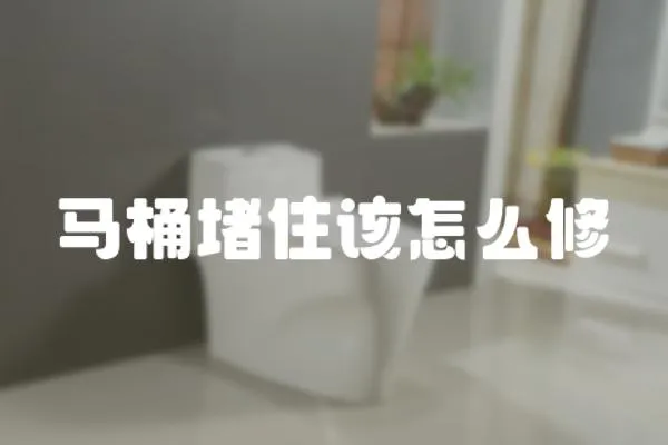 馬桶堵住該怎么修